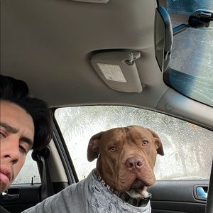 Meet your Posher, William